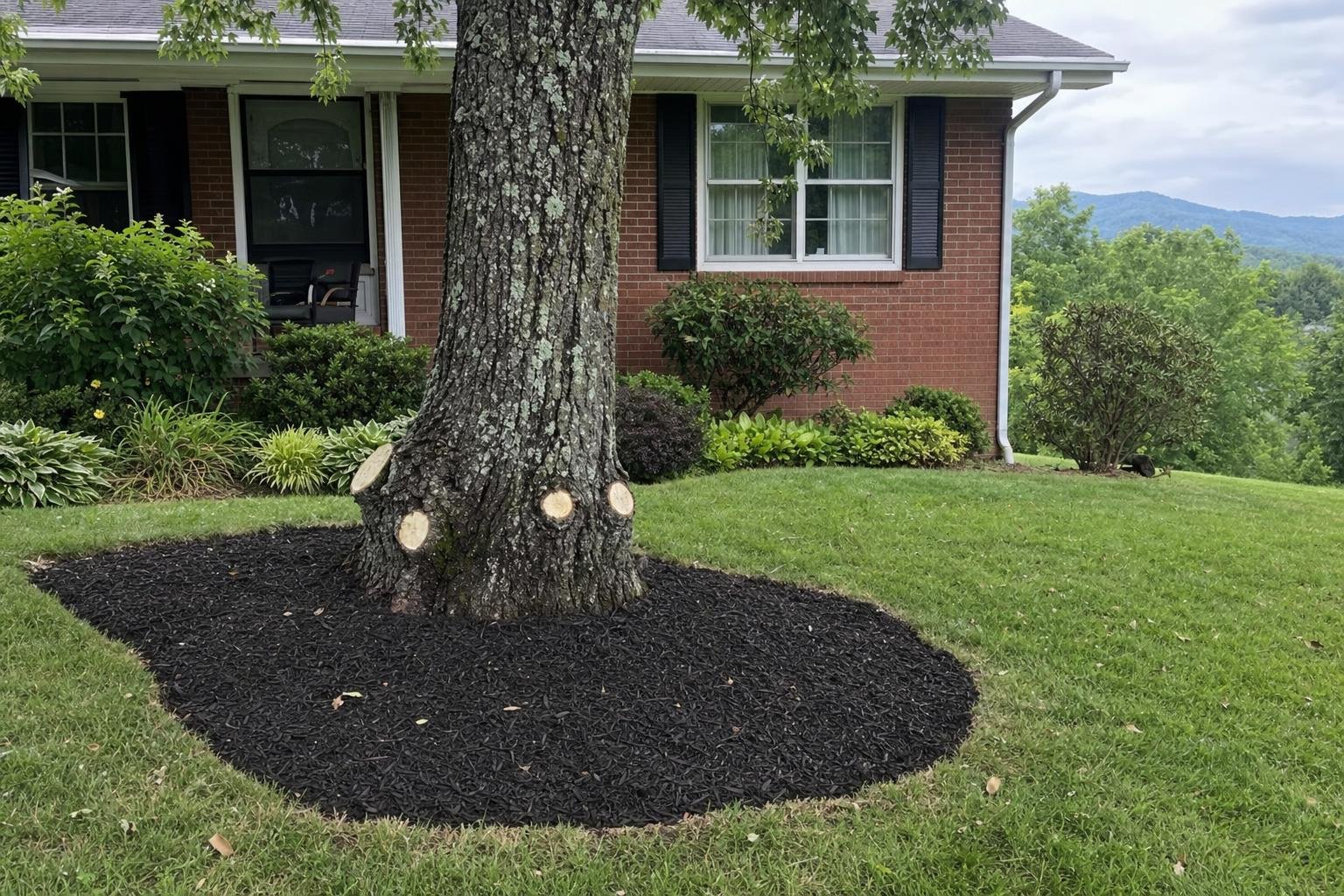 Illustrative image of tree service cost guide work
